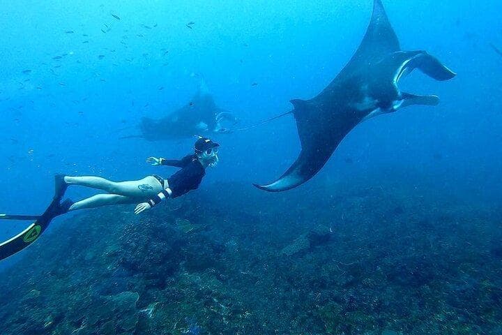 Snorkeler exploring clear tropical water at Manta Bay Nusa Penida