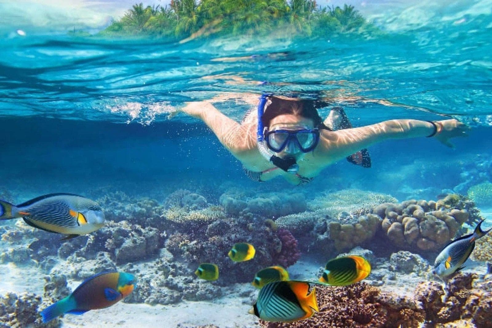 Snorkeler exploring clear tropical water at Manta Bay Nusa Penida — photo 3