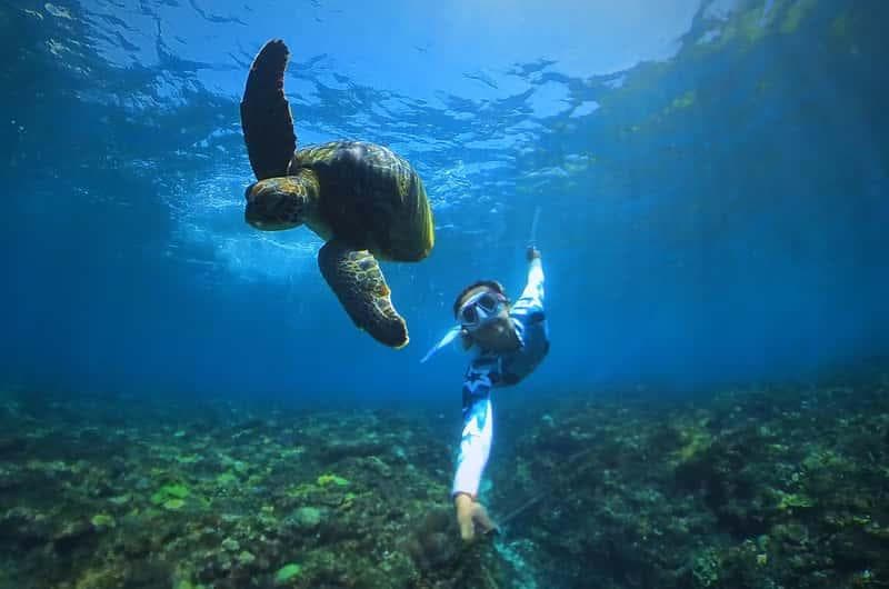 Snorkeler exploring clear tropical water at Manta Bay Nusa Penida — photo 4